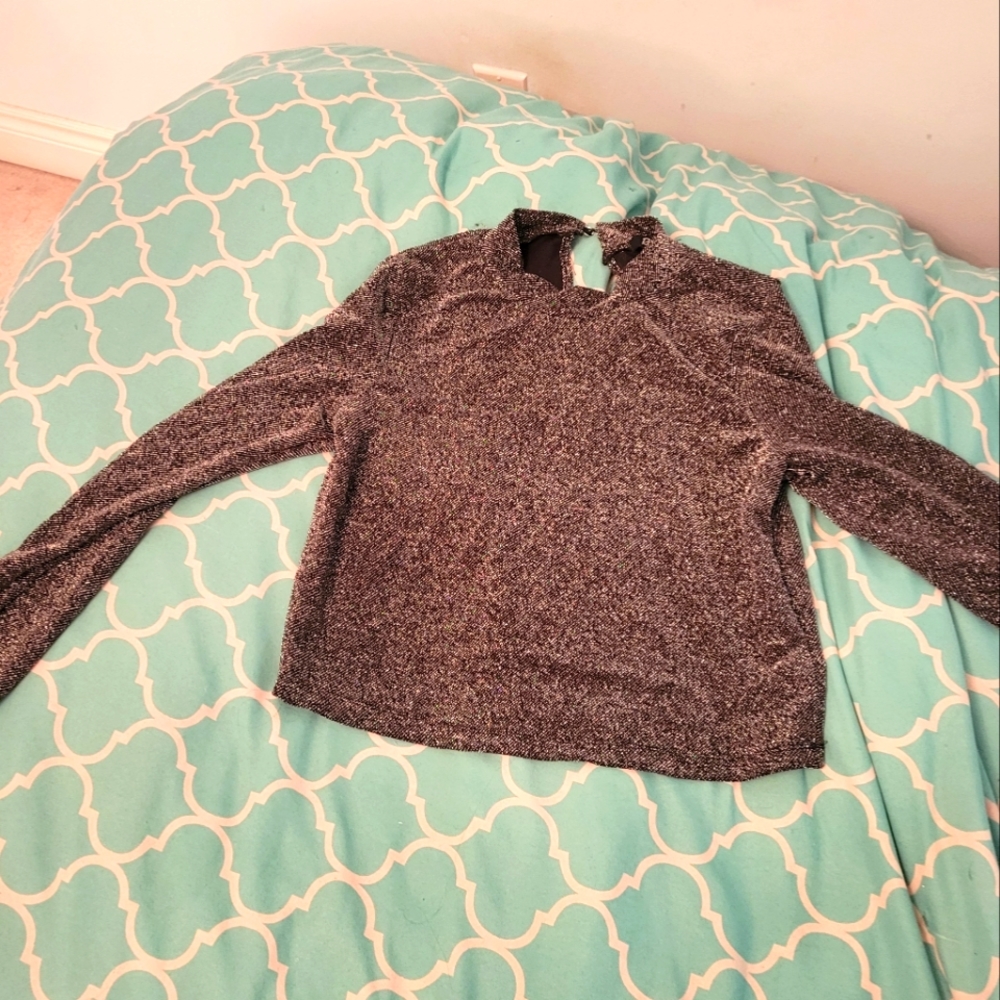 Sparkly Metalic top